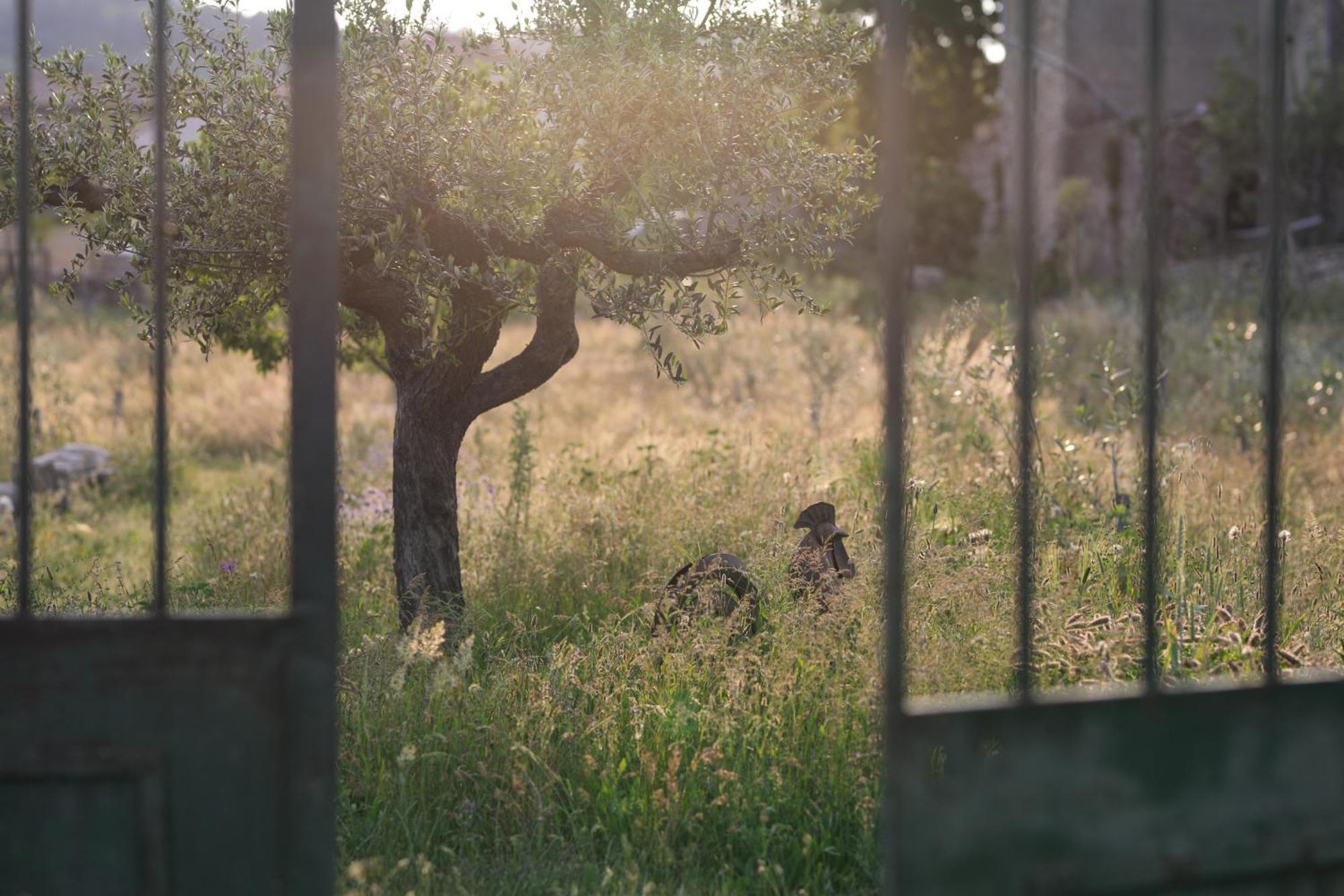 La Gourmandine Ξενοδοχείο Courry Εξωτερικό φωτογραφία